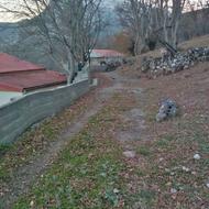 زمین درون بافت روستای زیارت سر سوادکوه
