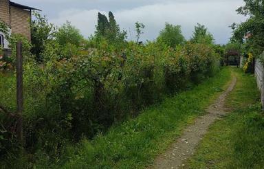 خانه اجاره ای با چشم اندازی زیبا و سرسبز