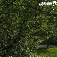 برنامه درسی
