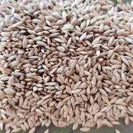تخم کتان بوجاری شده