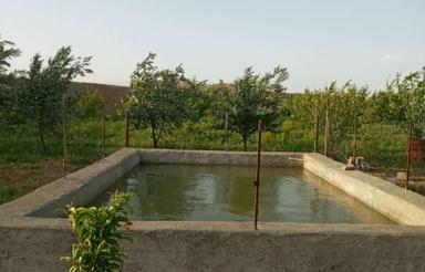 باغ به مساحت 1500متر