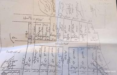 زمین مسکونی 226 متر فلسطین