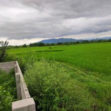 فروش زمین مسکونی 200 متر در جاده لاهیجان
