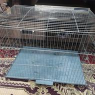 قفس عروس هلندی و مرغ عشق