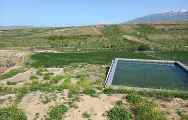 فروشی 8500 متر باغ در نزدیکی روستای وردین