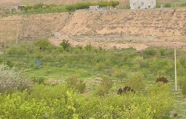 3300 متر باغ در وردین اهر