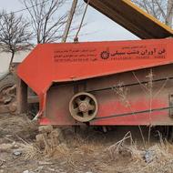 برگ زن چغندر