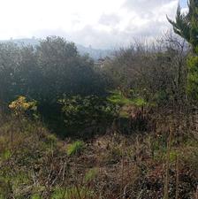 اجاره زمین 500 متری همراه دفتر کار بر خیابان کتالم