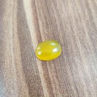 شرف شمس متبرک کربلا