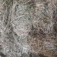 پرس یونجه چین 4