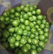 فروش الوچه ی درشت وشیرین
