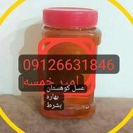 عسل بهاره کوهستان داروی به شرط.