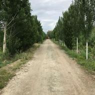 زمین دیوار کشی شده با مجوز شهرداری و جها