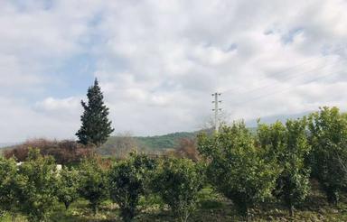خونه باغ 800متری دوبر