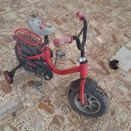 دوچرخه دو چرخ دارم چهار صدپنچاه هزار تومان معاوضه با کبوتر