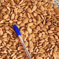 خرید و فروش انواع بادام درختی