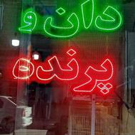 شاگرد نوجوان بین 13تا15سال برای کار در پرنده فروشی