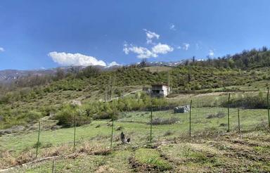 1000متر زمین واقع در روستای توریستی زیارت (گرگان)
