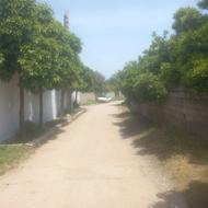 740 متر زمین باغ جفت بافت روستای تالارپشت جاده بابل کیاکلا