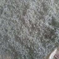 چای صحرایی تازه پاک کرده بدونه یک علف هرز
