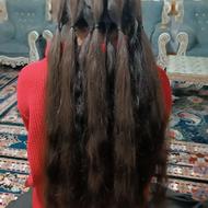 خرید و خریدار موی طبیعی بانوان