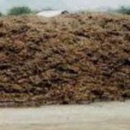 فروش کود گاوی