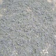 چای صحرایی از دل طبیعت فریدن بزرگ