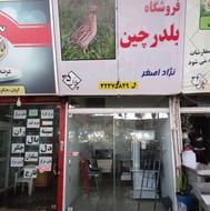 بلدرچین آماده طبخ