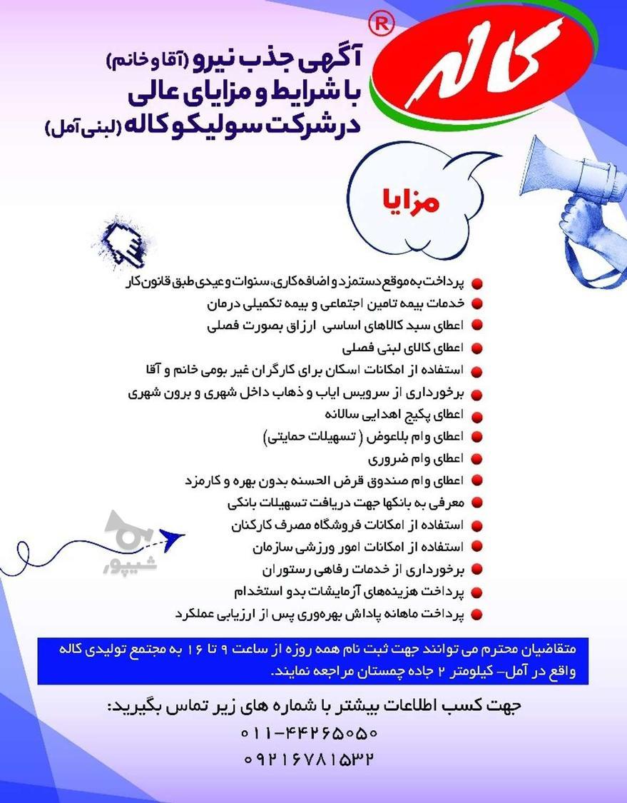 استخدام نیرو درکاله لبنی آمل - mortezaghaemian