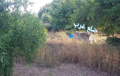 زمین مسکونی