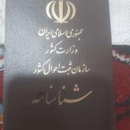 شناسنامه گمشده