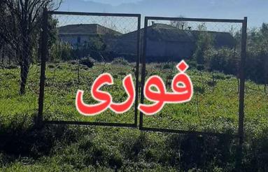 زمین باغی به مساحت جهت سرمایه گذاری