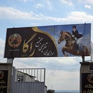 آموزش سوارکاری و پانسیون