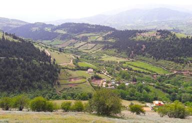 37000 متر زمین در منطقه خوش آب و هوای رودبار