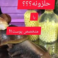 پاکسازی،حلزونتراپی،خاویار تراپی