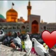 کاروان زیارتی مشهد مقدس