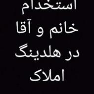 استخدام همکار در هلدینگ املاک