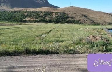 زمین کشاورزی فریدونشهر گستوگن
