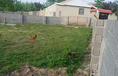500متر زمین محدوده طرح هادی باغی مسکونی روستای تیسیه خمام