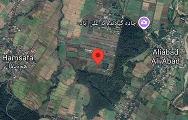زمین مسکونی پلاک اول جنگل – علی‌آباد چمستان