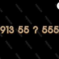 9135555555