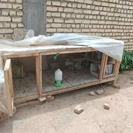 قفس چوبی پرنده