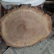 چوب کالباسی تنه درخت قطر 40 سانت