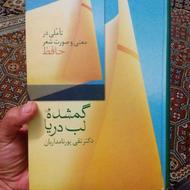 گمشده لب دریا، تأملی بر شعر حافظ