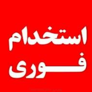 شرکت ایران الکترونیک