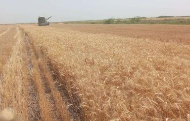 ملک جهت اجاره کاری در زمینه کشاورزی عالی