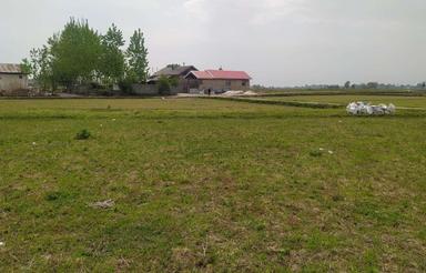 زمین مسکونی 223متری