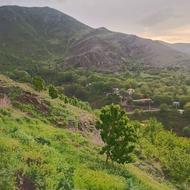 به یک نفر چوپان اتباع افغان نیازمندیم