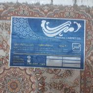 فروش فرش زیبا 12 متری در اهواز