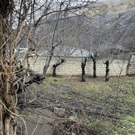 200 متر زمین داخل بافت روستای سرخ آباد سوادکوه
